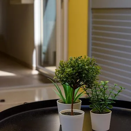 Le Stanze Dei Pico 2 Patio Bagno Privati Wifi E Netflix *